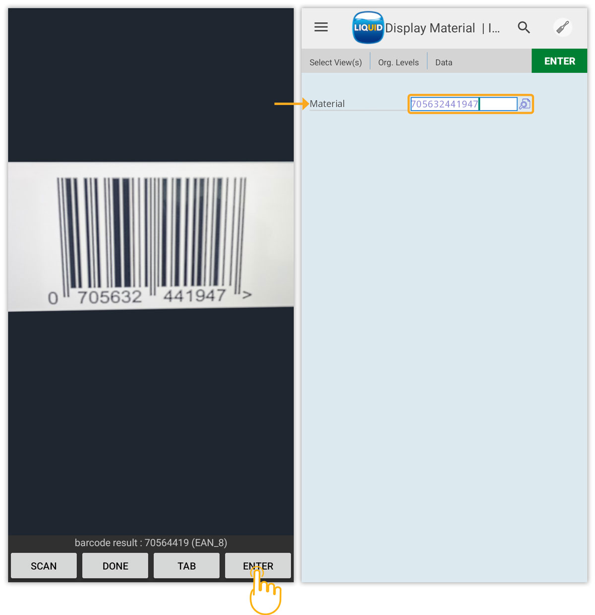 ENTER button replicates Auto-Enter function as in SAP GUI