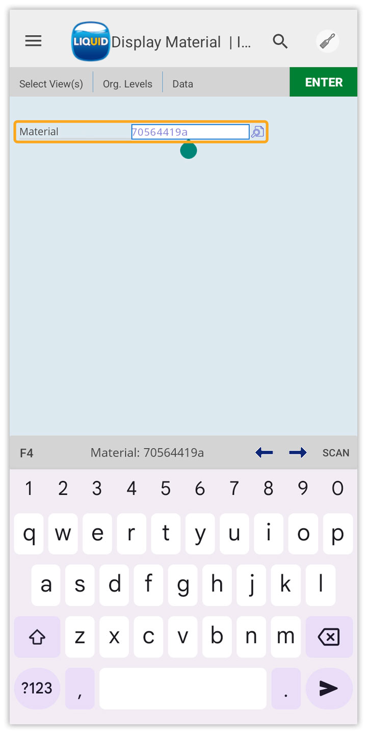 Place cursor in input field to manually edit the scanned value