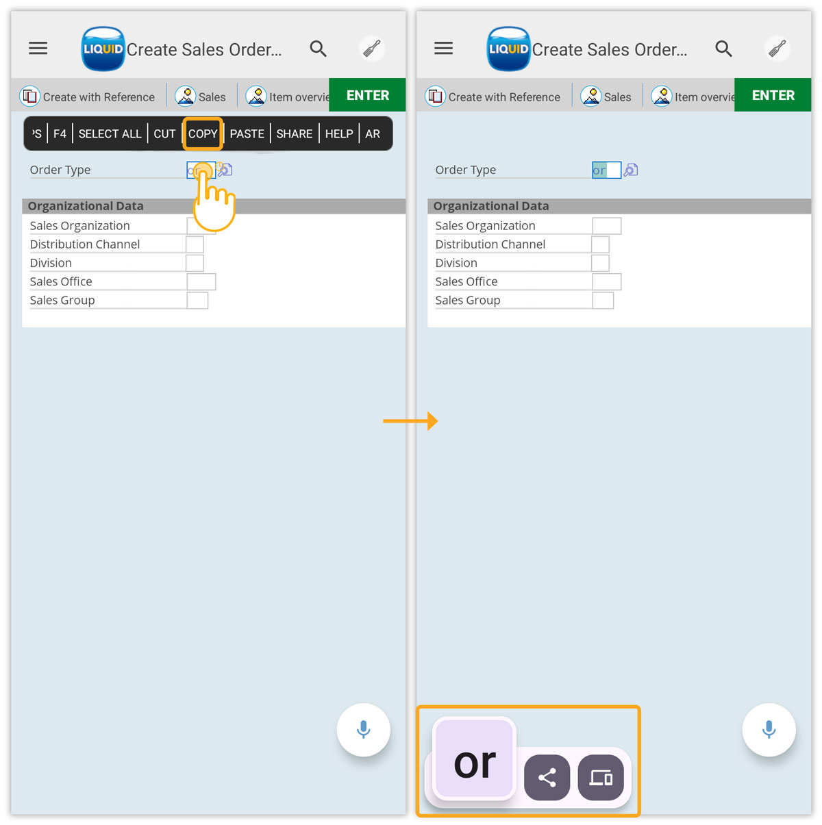 Duplicates input field text for sharing or pasting elsewhere