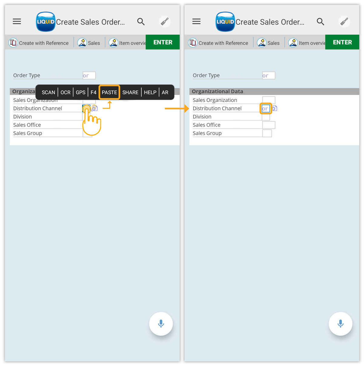 Inserts previously copied text into input fields