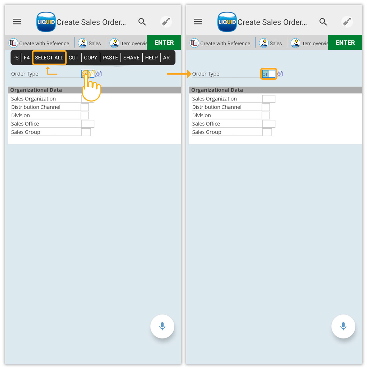 Selects entire text in input field