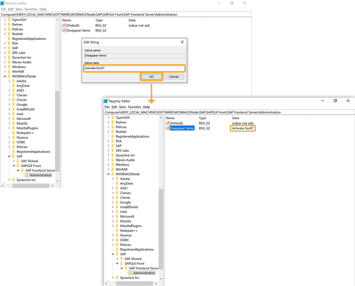 Sets Disappear Items value to Activate GuiXT in Registry Editor