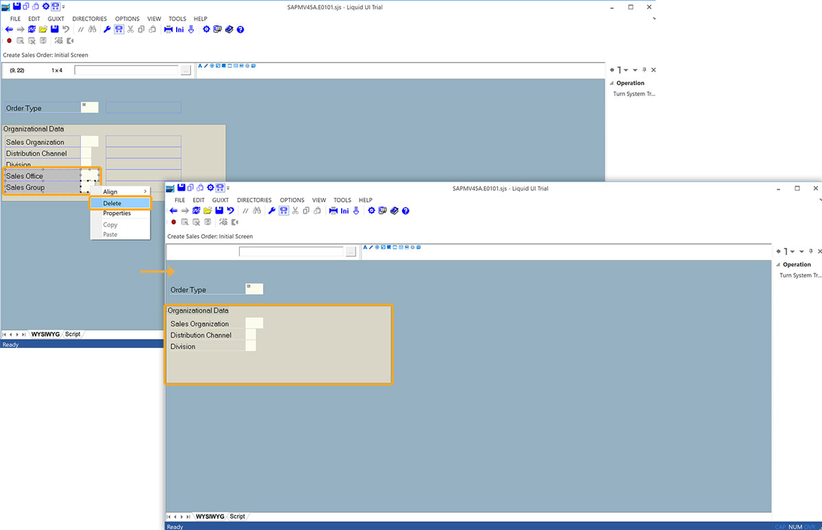 Sales Office and Sales Group fields selected for deletion in Designer