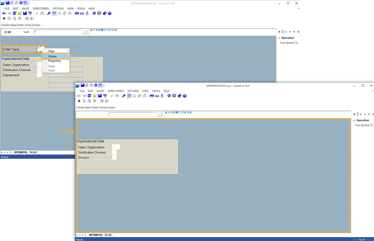 Deletes Order Type input field