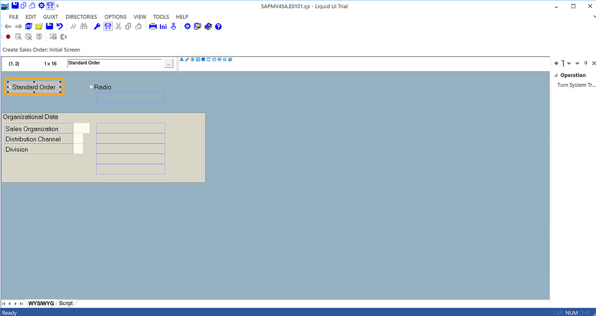 Standard Order radio button displayed on the screen