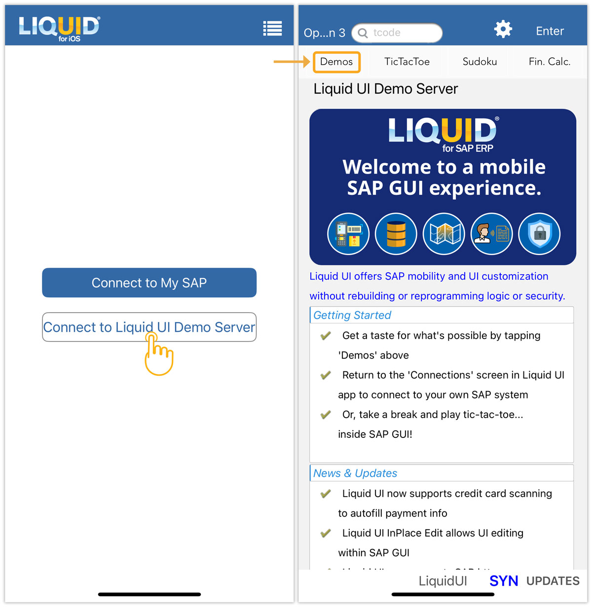 Connect to Liquid UI Demo Server to explore SAP screens