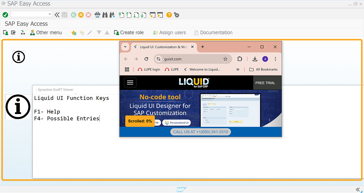 Demonstrates image command usage on SAP Easy Access - website link, and viewhelp on click