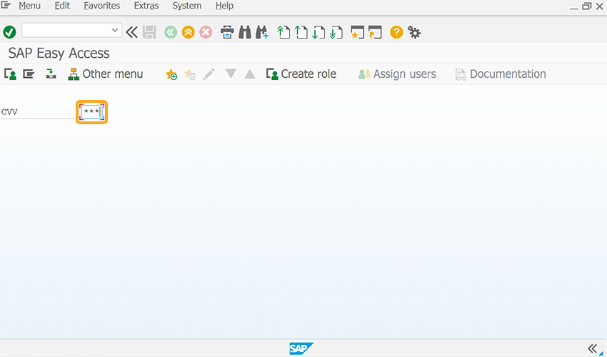 Hides user-entered value in input field using invisible option
