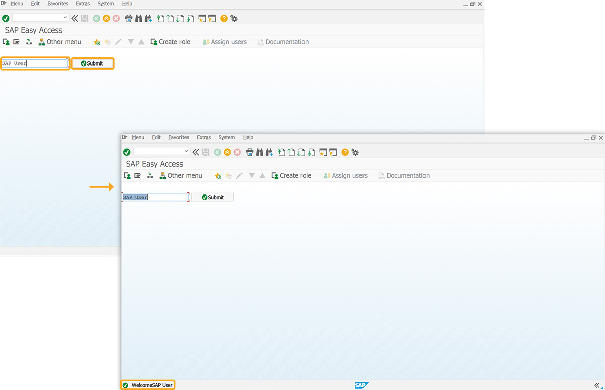 After Liquid UI – Entered text and clicked Submit to display a custom message at the bottom of the SAP screen
