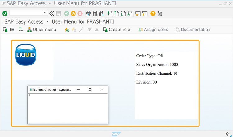 files will be displayed on the sap screen