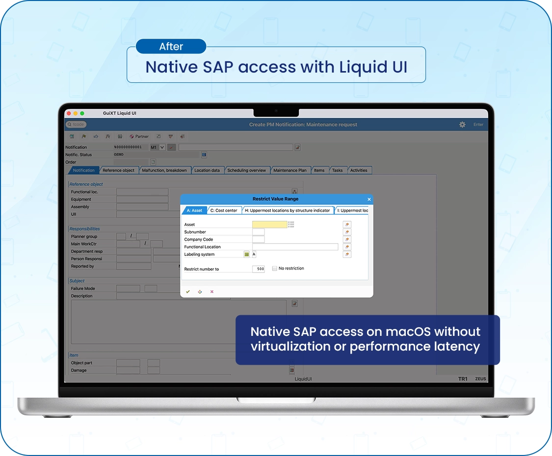After Liquid UI approach to run SAP