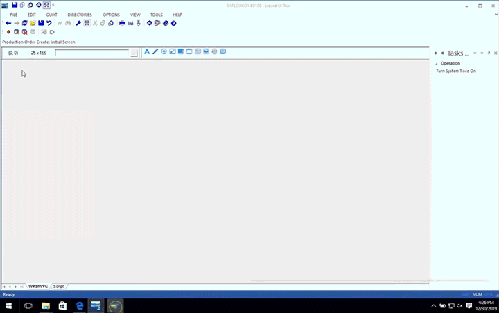 Customized SAP screen with guided workflow and simplified layout